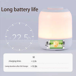LED Night Light Touch Lamp Table Lamp Bedside Lamp Bedroom Lamp with Touch Sensor Portable Desk Lamp Light for Kids Gifts Led