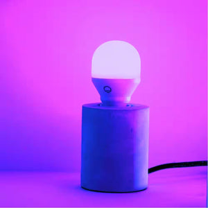 60-Watt Equivalent Smart 2-A19 LED Light Bulbs and 1-Switch Kit, Works with Alexa/Hey Google/Homekit Multi-Color(1-Pack)