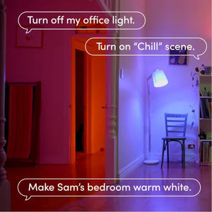60-Watt Equivalent Smart 2-A19 LED Light Bulbs and 1-Switch Kit, Works with Alexa/Hey Google/Homekit Multi-Color(1-Pack)