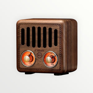 Retro Classic Mini Portable Rechargeable FM Radio Bluetooth Speaker Support TF Card Play Music