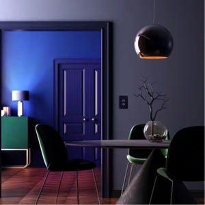60-Watt Equivalent Smart 2-A19 LED Light Bulbs and 1-Switch Kit, Works with Alexa/Hey Google/Homekit Multi-Color(1-Pack)