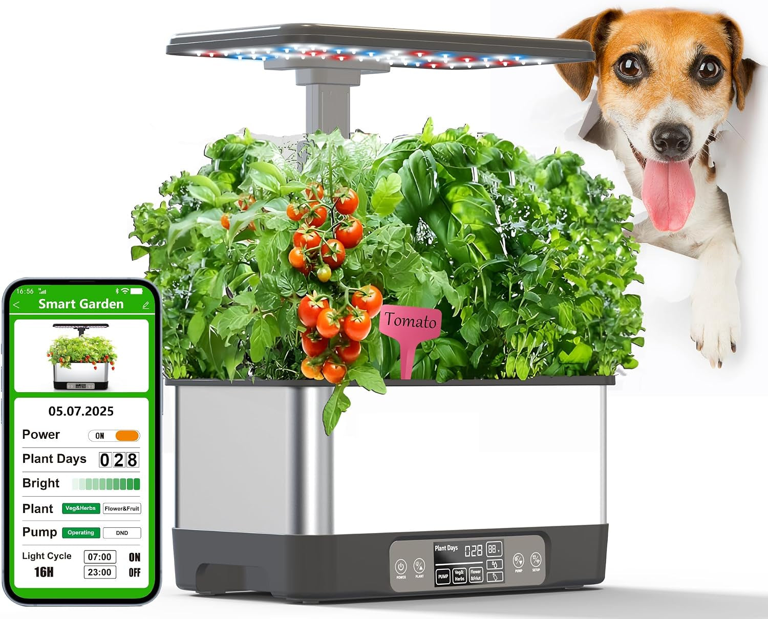 Hydroponics Growing System,Smart Indoor Herb Garden with Grow Light,8 Pods
