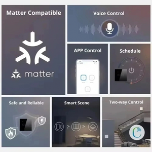 Matter Smart Outlet WIFI Tuya US Plug Glass Panel Voice Remote, Light Switch Works with Smart Home Assistants
