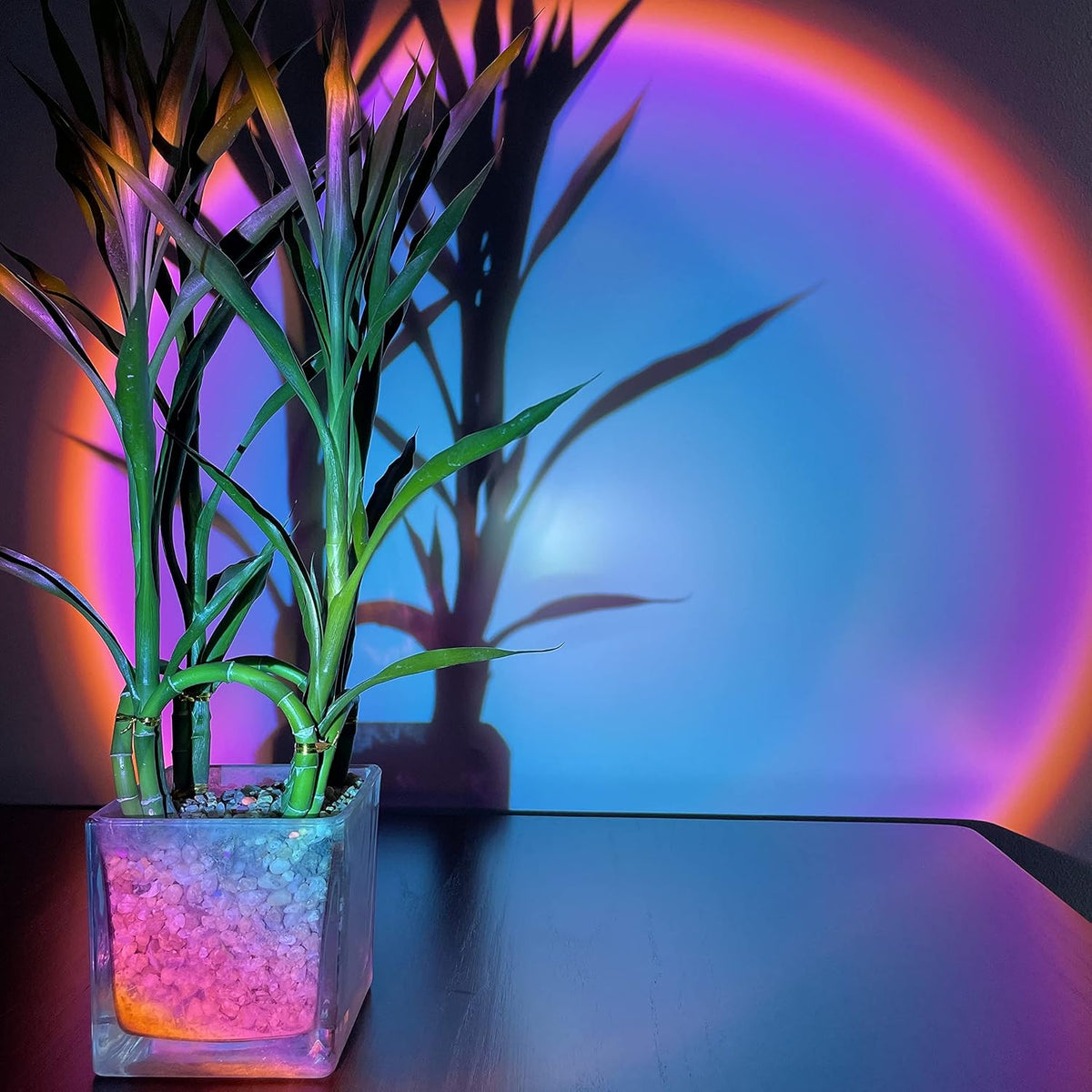 Sunset Lamp, Sunset Projection Light 180 Degree Rotation USB Sunset Glow Lamp Warm Romantic Visual Decorative Night Lights for Photo Video Vlog Backgroung Bedroom Home Indoor Party (Rainbow)