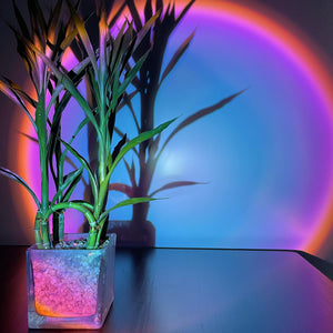 Sunset Lamp, Sunset Projection Light 180 Degree Rotation USB Sunset Glow Lamp Warm Romantic Visual Decorative Night Lights for Photo Video Vlog Backgroung Bedroom Home Indoor Party (Rainbow)