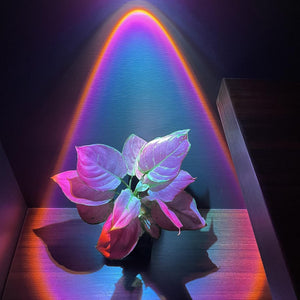 Sunset Lamp, Sunset Projection Light 180 Degree Rotation USB Sunset Glow Lamp Warm Romantic Visual Decorative Night Lights for Photo Video Vlog Backgroung Bedroom Home Indoor Party (Rainbow)